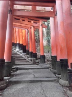 Again for good luck: finish the religious route through the torii gates