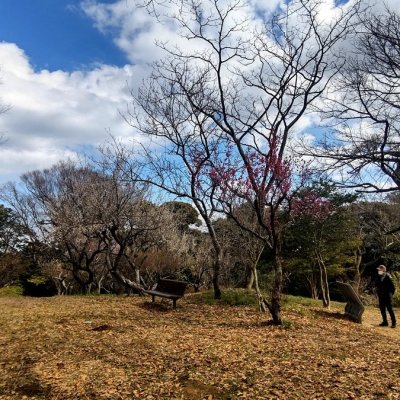 Day Hike from Tokyo: Rokkokutoge to Kamakura