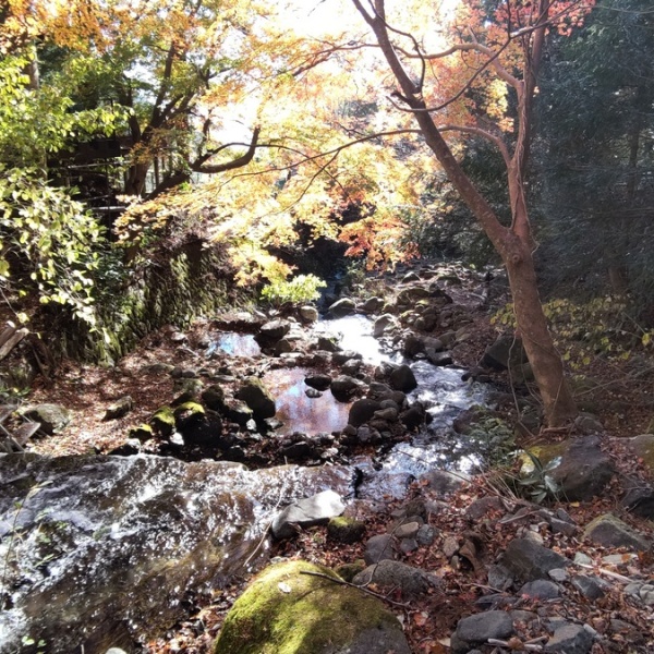 Day Hike from Tokyo: Mt Takatori, Mt Nenbutsu and Mt Azuma